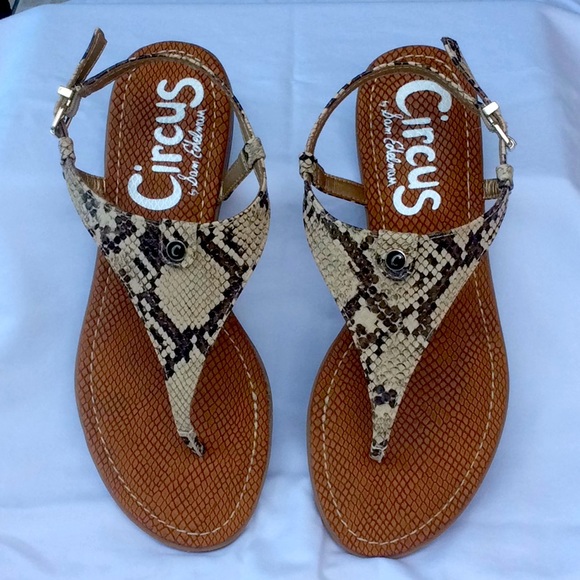 Circus by Sam Edelman Shoes - Circus by Sam Edelman Caroline Snake Sandals